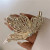 Fashionable All-Match Chinese Style Metal Diamond Tassel Grip Natural Temperament Dragonfly Tassel Back Head Shark Clip Hair Accessories