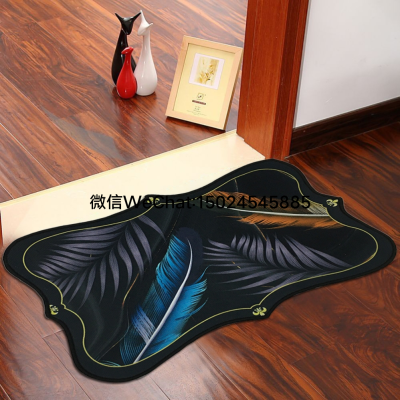 New Shaped Crystal Velvet Floor Mat Household Mat Door Mat Bedroom Home Cool Carpet