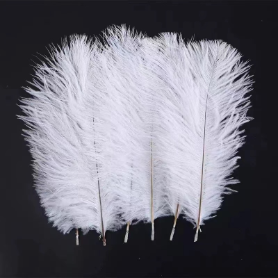 Natural White Ostrich Feathers For Crafts 6-26 Inch 15-65cm Bulk for Wedding Party Centerpieces Easter Gatsby Decoration