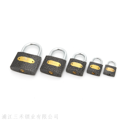 Iron Padlock Factory Direct Supply Plastic Spray Word Lock Label Lock Multi-Specification Iron Household Padlock