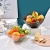 X10-6535 Colorful Candy Color Pet Transparent Fruit Plate Living Room Coffee Table Snack Fruit Basket Household Snack Dish