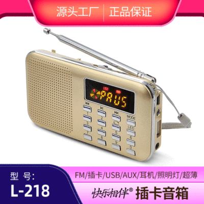 Happy Companion L-218 English CET-4 CET-6 Listening FM Radio Card Speaker Campus Radio