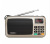Rollton W405 Foreign Trade FM Radio Speaker Music Player