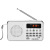 Manufacturer Supply L-938FM Digital FM Radio Multifunctional Portable Mini Portable Speaker Player