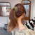 Elegant Flocking Bird's Nest Hair Ring Hair Band Girls' High Ponytail Artifact Internet Celebrity 2022 New Grabber Clip Headdress