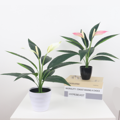 Indoor  Tea Table Decoration Artificial Plant Bonsai Garden Landscaping Versatile Simulation Spathiphyllum Greenery