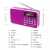 Manufacturer Supply L-938FM Digital FM Radio Multifunctional Portable Mini Portable Speaker Player