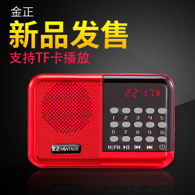 Jinzheng S61 Radio Card Speaker Portable MP3 Mini Audio Music Player for the Elderly
