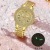 Winter New Full Body Rhinestone Luxury Watch Women's Starry Steel Chain Watch Fashion Temperament Small Dial Watch Women
