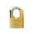 Rarlux 40-70mm High security shackle protected brass padlock
