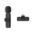 Microphone One-to-Two Outdoor Mobile Live Streaming Equipment Short Video Recording Radio Noise Reduction Microphone