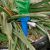 Garden Automatic Watering Device Water-Dropper Drip Irrigation Lazy with Switch Control Valve