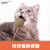 Catnip Ball Lollipop Cat Molar Tooth Cleaning Self-Hi Toy Cat Snack Licking Le