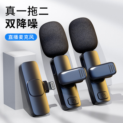 Microphone One-to-Two Outdoor Mobile Live Streaming Equipment Short Video Recording Radio Noise Reduction Microphone