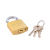 Hot sale  iron lock  Cheap and Popular Gold Plated or Nickel
