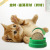 Catnip Ball Lollipop Cat Molar Tooth Cleaning Self-Hi Toy Cat Snack Licking Le