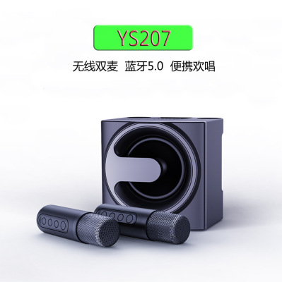 Ys207 Bluetooth Speaker Hidden Dual Microphone Portable Wireless Karaoke Machine Mobile Phone Home Entertainment Audio Single Speaker
