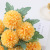 African Ping Pong Chrysanthemum Dandelion Wedding Decoration Home Soft Decoration for Living Room Fake Flower Simulation Single Head with Leaf Chrysanthemum
