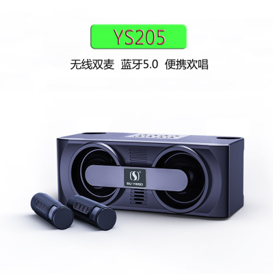 Ys205 Bluetooth Speaker Wireless Dual Microphone Family Mobile Phone Outdoor Portable Entertainment Chorus Karaoke All-in-One Audio