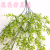 Artificial/Fake Flower Bonsai 5 Fork Wall Hanging Starry Decoration Ornaments