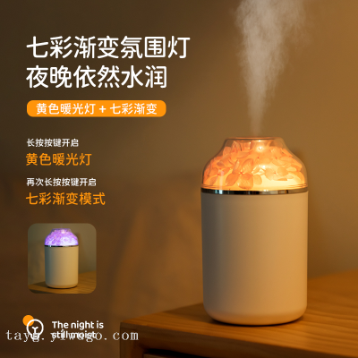 2022 New Office Bedroom Car Preserved Fresh Flower Humidifier Ambience Light Heavy Fog Mute Humidifier