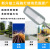 Led High-Power Patch Street Lamp Urban Road Lighting Outdoor Waterproof Lightning Protection Square High Poled Lamp Factory Wholesale