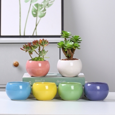 Ceramic Succulent Flower Pot Succulent Plant Small Flower Pot Ceramic Fresh Pot with Hole Creative Indoor Desk Wholesale