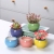 Ceramic Succulent Flower Pot Succulent Plant Small Flower Pot Ceramic Fresh Pot with Hole Creative Indoor Desk Wholesale