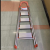 Household Folding Portable Ladder Trestle Ladder Household Ladder Gift Escalator Three Five Six Seven Steps Ladder Factory Direct Sales