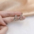 New French Triangle 925 Silver Ear Studs Stud Earrings Women's Korean-Style High-Grade Earrings Female Online Influencer Trendy Earrings