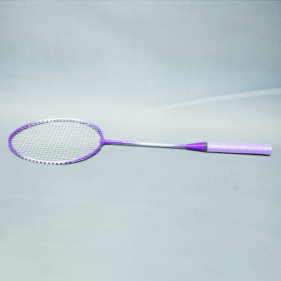 Adult Ferroalloy Racket