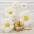 White Smiling Face Ins Little Daisy Color Macaron Aluminum Film Balloon Photo Props Balloon Set SUNFLOWER