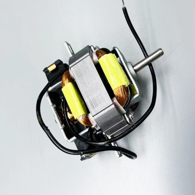 Electric Hair Dryer Hair Dryer Switch Motor Copper Motor Motor Motor High Power AC