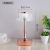 Creative Mushroom Crystal Diamond Table Lamp USB Touch Projection Ambience Light Bedroom Bedside Gift Led Small Night Lamp Sets