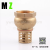 Hot Selling Foot Brass Spring Check Valve with SS Filter Brass Bottom Valve