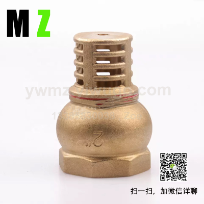 Hot Selling Foot Brass Spring Check Valve with SS Filter Brass Bottom Valve
