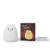 Free_on Cartoon Small Cute Cat Silicone Light Led Colorful Color Changing Children Bedroom Atmosphere Small Night Lamp Creative Gift