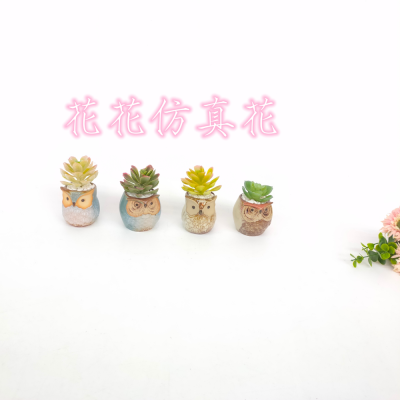 Artificial/Fake Flower Bonsai Ceramic Basin Mini Cartoon Owl Variety of Succulent Furnishings Ornaments