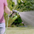 Garden Watering Car Washing Gun Garden Watering Artifact Watering Vegetables Sprinkler Sprinkler Household Water Pipe