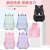 2022 Fashion All-Match Student Schoolbag Easy to Clean Storage Backpack Wholesale