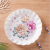 Simple Applique Round lace Fruit plate imitation Tableware Melon seeds peanut fruit plate wholesale