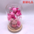 Wool Love Rabbit Hot Air Balloon Eternal Rose Glass Cover LED Light Furniture Furnishing Articles Valentine's Day Birthday Gift