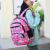 Leisure Travel Large-Capacity Backpack Girls Student Pink Schoolbag New Backpack Ladies Outdoor Hiking Backpack