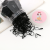 Children's Baby Boxed Disposable Simple Non-Hurt Hair Seamless High Elastic Hair Ring Multi-Color Small Rubber Band Hair Ring Wholesale