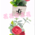 Artificial/Fake Flower Bonsai Wooden Box Rose Bud Living Room Dining Table Desk Bedroom Etc Ornaments