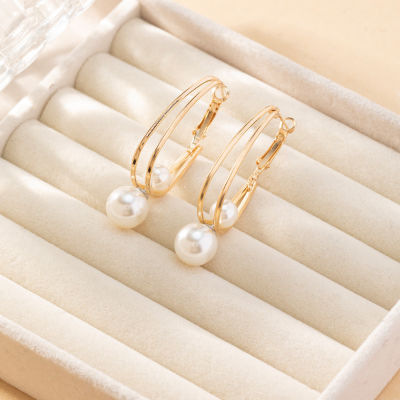 INS Style Beautiful Ear Hook Crystal Crystal Zircon Earrings Earrings Elegant Accessories Tassel Earrings