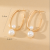 INS Style Beautiful Ear Hook Crystal Crystal Zircon Earrings Earrings Elegant Accessories Tassel Earrings