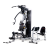 Huijunyi Physical Fitness-Multifunctional Comprehensive Trainer-Two-Person Station-HJ-B281