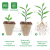 Pulp Seedling Cup/Degradable Pulp Cup/Nursery Basin/Seedling Tray/Throwing Tray/Feeding Tray