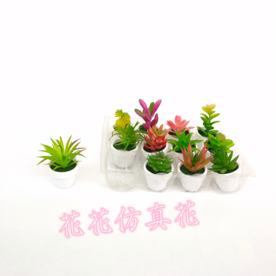 Artificial/Fake Flower Bonsai Mini Version Multiple Succulent Furnishings Ornaments Living Room Bedroom Study, Etc.